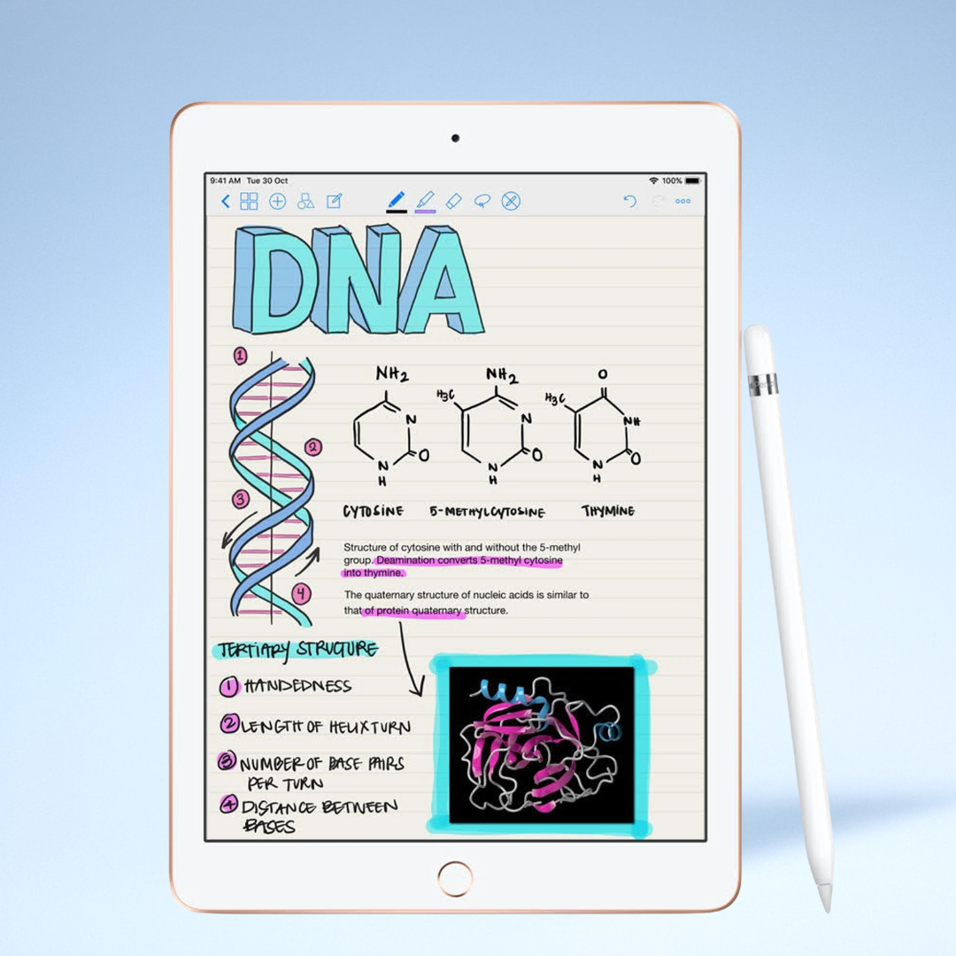 Apple Pencil 2nd Generation magnetically attached to iPad for wireless charging, ControlZ #Generation_1st Generation