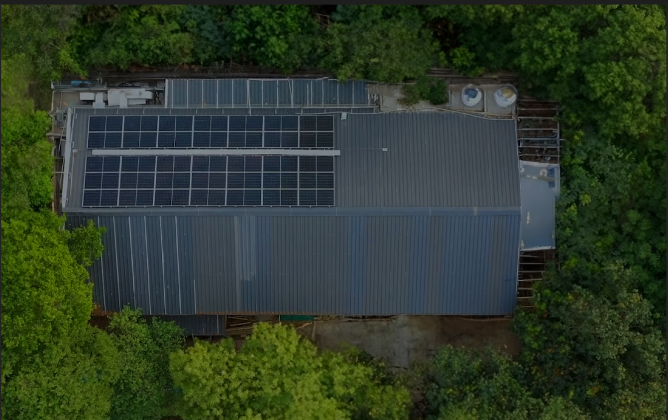 An Eco-Tech Sanctuary Where Smart Devices Get a Second Life